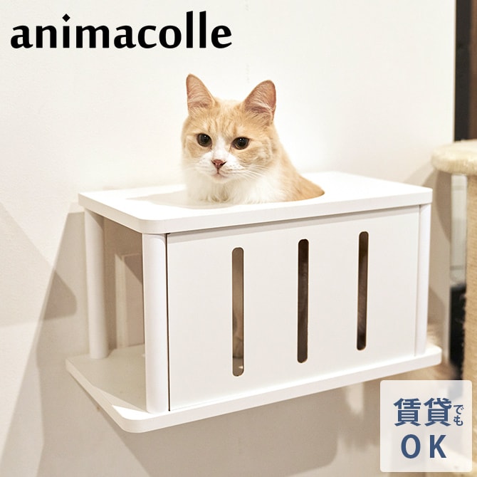 animacolle アニマコレ Catroad+ キャットトンネル  猫用 キャットステップ トンネル キャットタワー キャットウォーク DIY 壁 白 シンプル  
