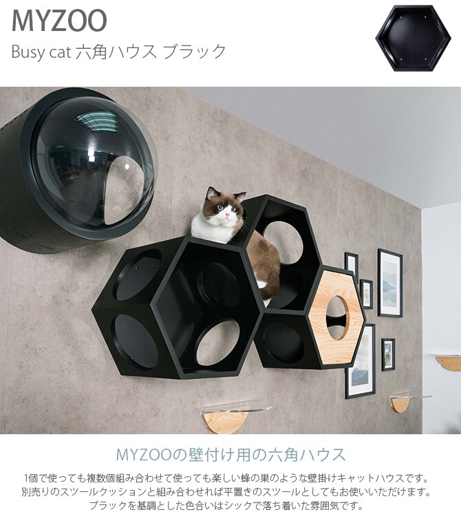MYZOO マイズー Busy cat 六角ハウス 猫 キャットステップ キャットウォーク 壁付け 壁掛け ブラック シンプル MY ZOO 北欧