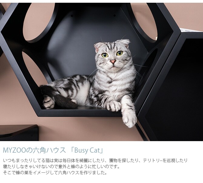 MYZOO マイズー Busy cat 六角ハウス 猫 キャットステップ キャットウォーク 壁付け 壁掛け ブラック シンプル MY ZOO 北欧