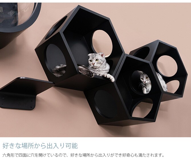 MYZOO マイズー Busy cat 六角ハウス 猫 キャットステップ キャットウォーク 壁付け 壁掛け ブラック シンプル MY ZOO 北欧