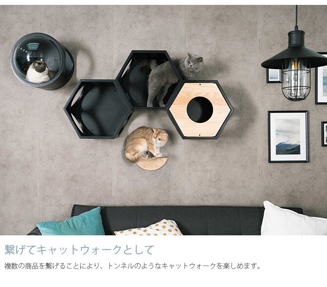 MYZOO マイズー Busy cat 六角ハウス 猫 キャットステップ キャットウォーク 壁付け 壁掛け ブラック シンプル MY ZOO 北欧