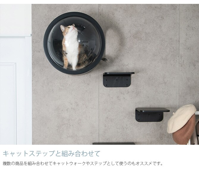 MYZOO マイズー Lack M キャットステップ ラック M 2枚セット 猫 キャットステップ キャットウォーク 壁付け 壁掛け ブラック シンプル MY ZOO 北欧