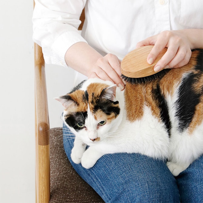 PET ブラシ オークウッド BOAR  猫用 ブラシ 艶出し ブラッシング クシ 櫛 毛づくろい  