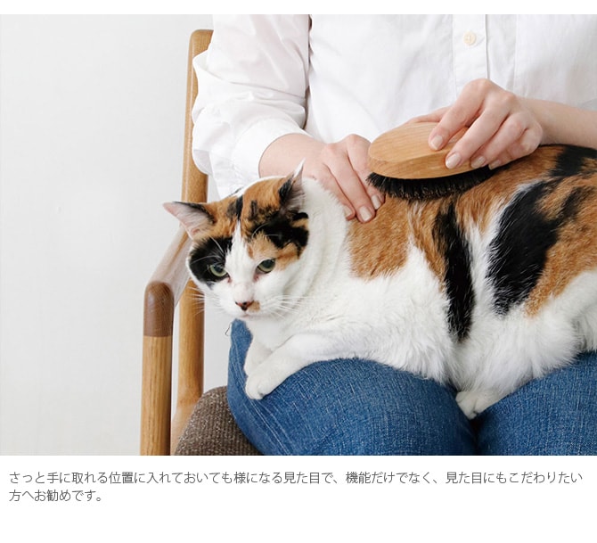 PET ブラシ オークウッド BOAR  猫用 ブラシ 艶出し ブラッシング クシ 櫛 毛づくろい  