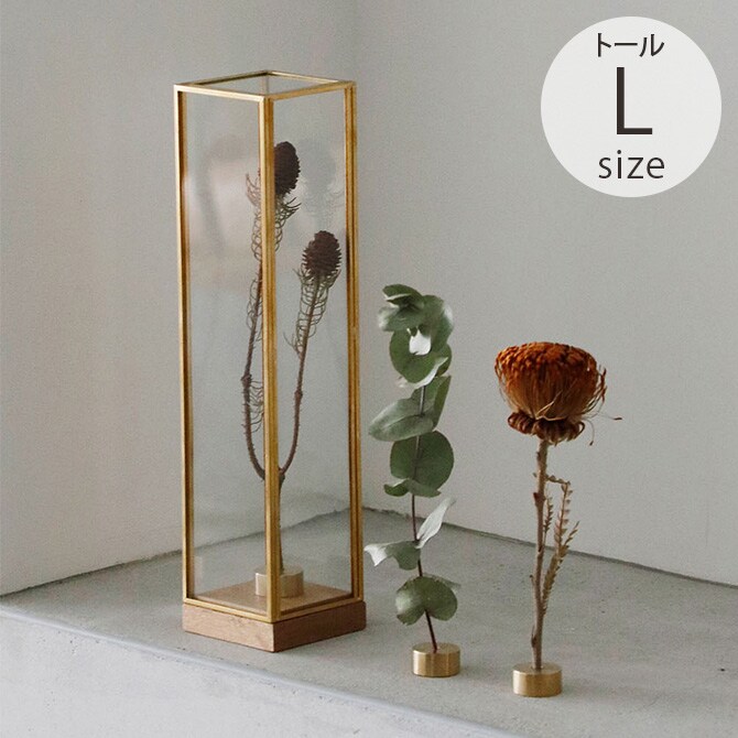 Horn Please ホーン プリーズ BRASSフレーム ディスプレイボックス トール L