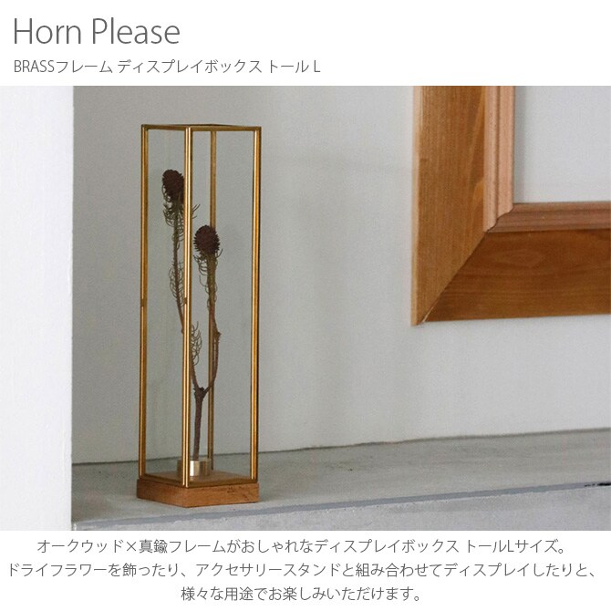 Horn Please ホーン プリーズ BRASSフレーム ディスプレイボックス トール L
