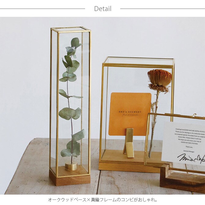 Horn Please ホーン プリーズ BRASSフレーム ディスプレイボックス トール L