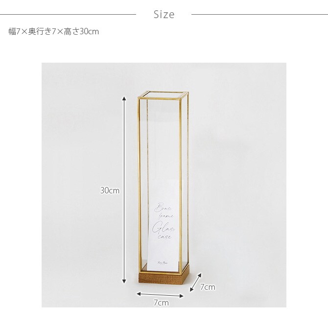 Horn Please ホーン プリーズ BRASSフレーム ディスプレイボックス トール L