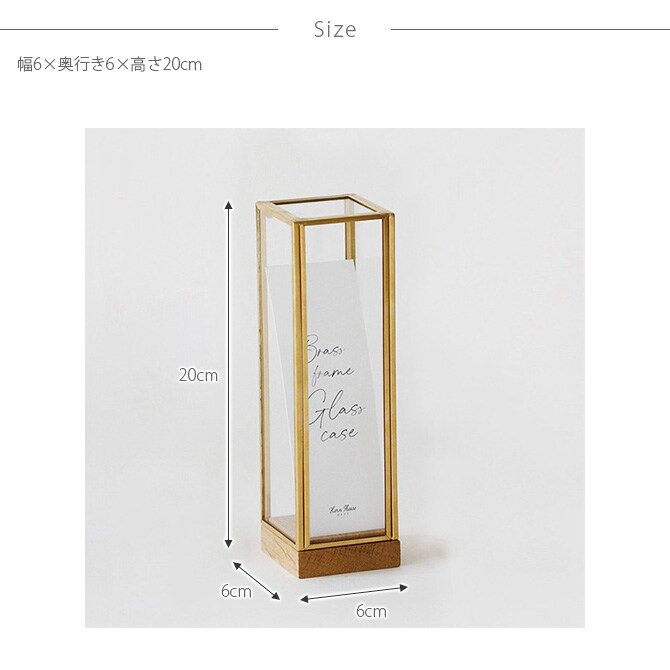 Horn Please ホーン プリーズ BRASSフレーム ディスプレイボックス トール S