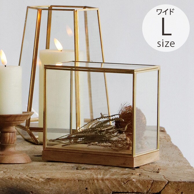 Horn Please ホーン プリーズ BRASSフレーム ディスプレイボックス ワイド L