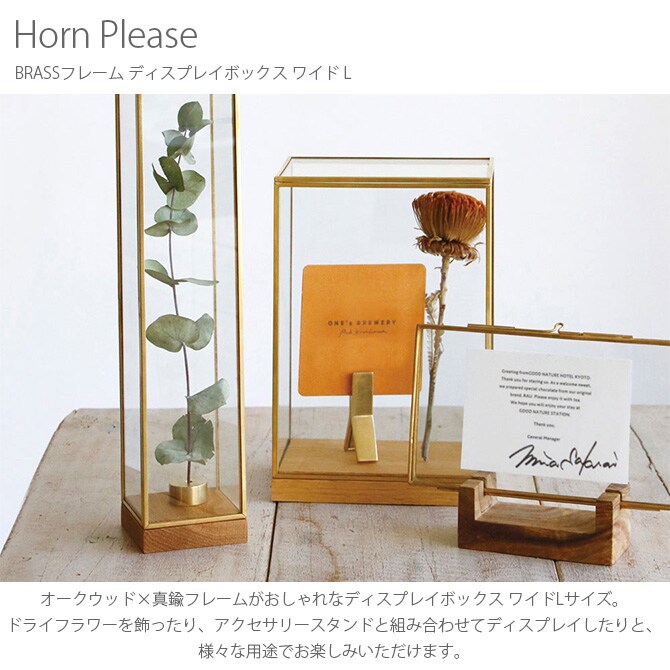 Horn Please ホーン プリーズ BRASSフレーム ディスプレイボックス ワイド L