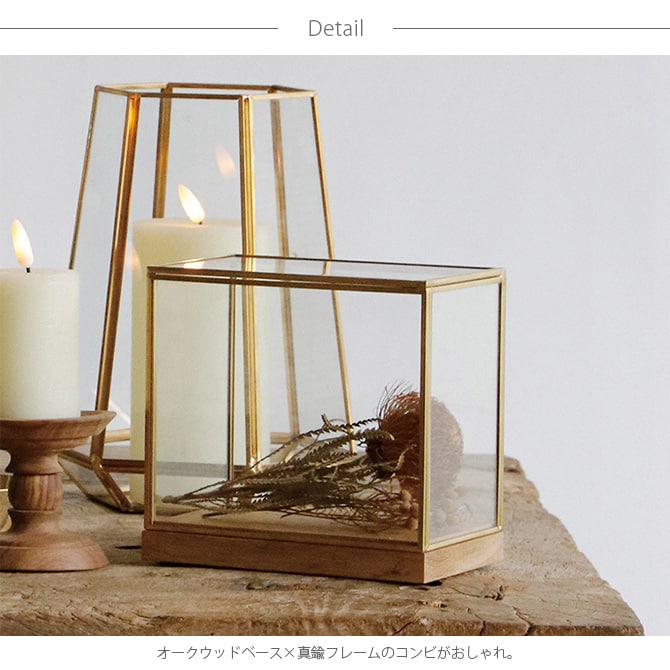 Horn Please ホーン プリーズ BRASSフレーム ディスプレイボックス ワイド L