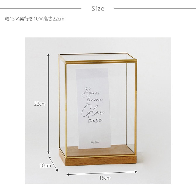 Horn Please ホーン プリーズ BRASSフレーム ディスプレイボックス ワイド L