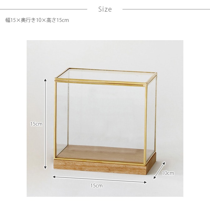 Horn Please ホーン プリーズ BRASSフレーム ディスプレイボックス ワイド S