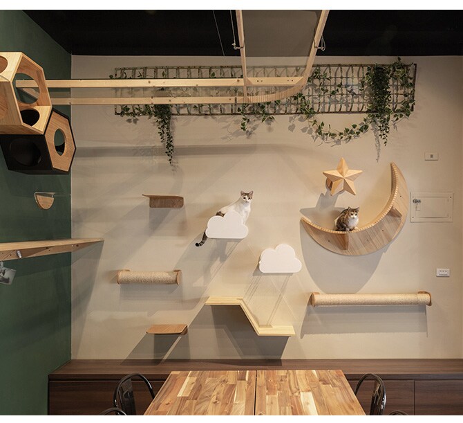 MYZOO マイズー Moku キャットステップ ホワイト 猫 キャットステップ キャットウォーク 壁付け 壁掛け 雲 木製 透明 MY ZOO 北欧