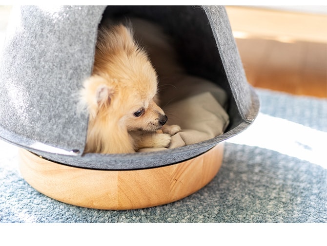 Fumi フミ ペットの家 猫用 犬用 ペットベッド ベッド ハウス 屋根付き 猫ハウス 猫ベッド おしゃれ