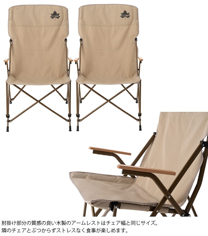 LOGOS ロゴス Tradcanvas ダイニングマスターチェア
