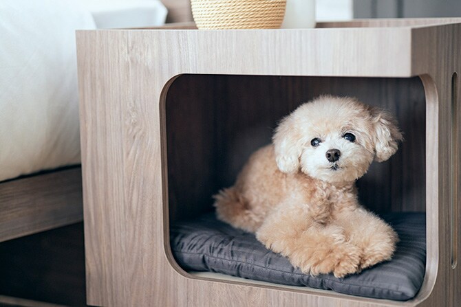 FrancePet フランスペット PE02 ペットハウスサイトテーブル ドッグステップ 犬用 ペット ステップ ベッド 上り下り おしゃれ