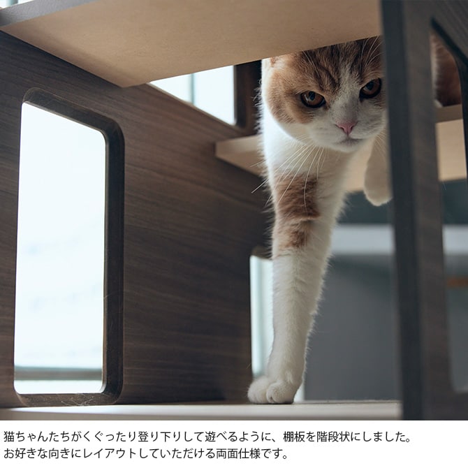 FrancePet フランスペット PE04 キャットタワー パーテーション 猫用 キャットタワー 棚 ラック パーテーション 仕切り 本棚 おしゃれ