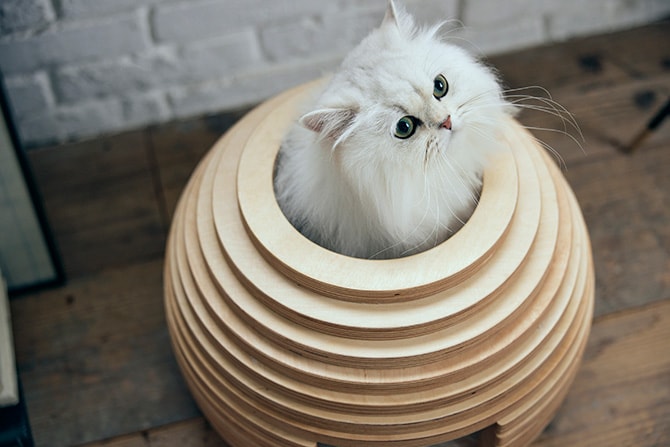 FrancePet フランスペット PE05 ねこハウス まり 猫用 猫ベッド ペットベッド ハウス 猫ハウス 木製 ボール型 おしゃれ