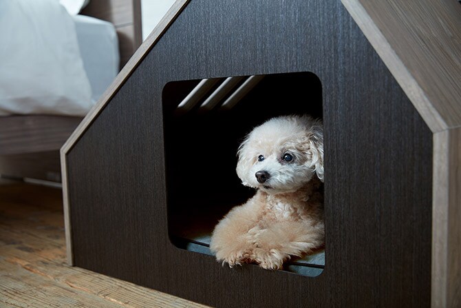 FrancePet フランスペット PE07 PETハウスソフィタイン S 犬 ドッグ ハウス ベッド ペットベッド 猫 おしゃれ 小屋 おしゃれ