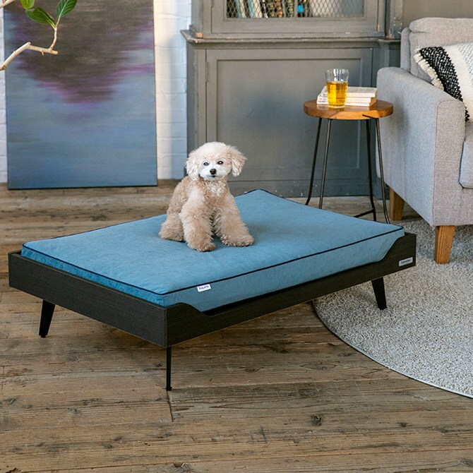 FrancePet フランスペット PE09 PETベッドワゴンイン 犬 猫 ベッド ペットベッド ドッグベッド おしゃれ 脚付き 高さ変更