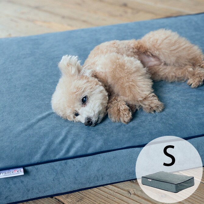 FrancePet フランスペット PE11 ペットマットコージーイン S 犬 猫 ベッド マット ペットマット 低反発 高反発 ウレタン