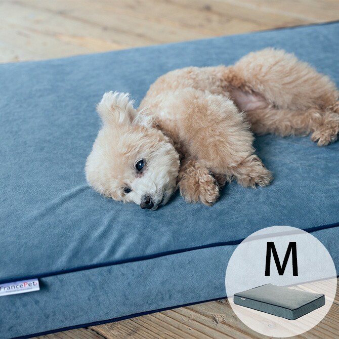 FrancePet フランスペット PE11 ペットマットコージーイン M 犬 猫 ベッド マット ペットマット 低反発 高反発 ウレタン