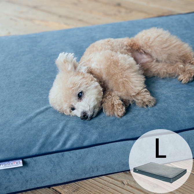 FrancePet フランスペット PE11 ペットマットコージーイン L 犬 猫 ベッド マット ペットマット 低反発 高反発 ウレタン