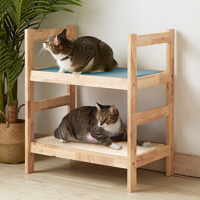 NATURAL SIGNATURE ナチュラルシグネチャー Cut-hus キャトハス ペットベッド  猫 猫用 ペット 犬 ハウス ベッド 小屋 自然にやさしい 木  