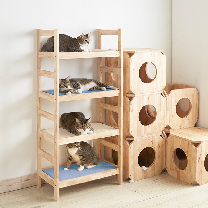 NATURAL SIGNATURE ナチュラルシグネチャー Cut-hus キャトハス ペットベッド  猫 猫用 ペット 犬 ハウス ベッド 小屋 自然にやさしい 木  