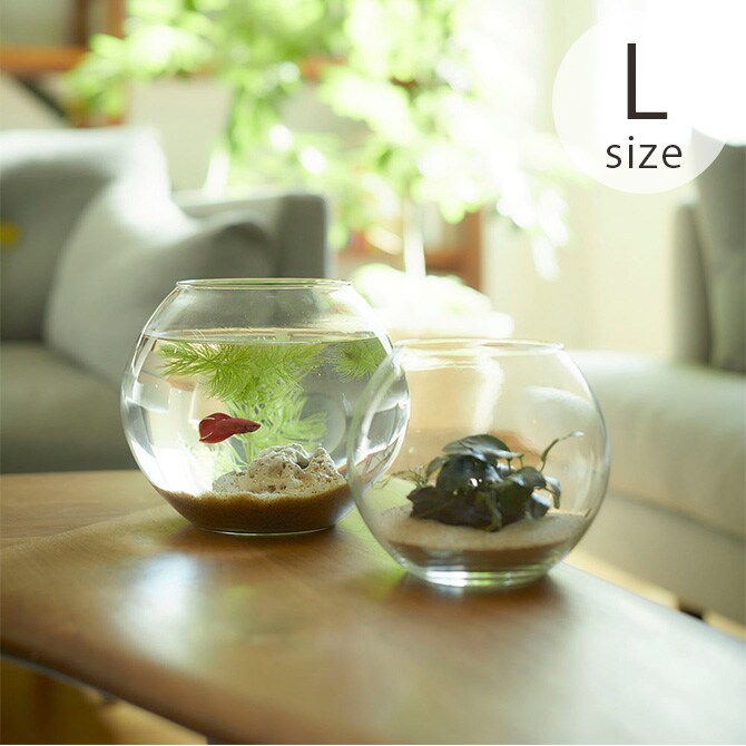 Horn Please ホーン プリーズ リューズガラス ドーム プーパン L