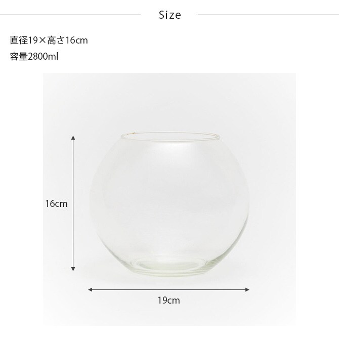 Horn Please ホーン プリーズ リューズガラス ドーム プーパン L