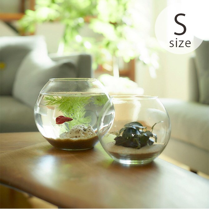 Horn Please ホーン プリーズ リューズガラス ドーム プーパン S