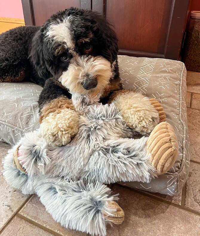 TALL TAILS トール テイルズ クランチ トイ イエティ