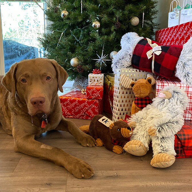 TALL TAILS トール テイルズ クランチ トイ イエティ