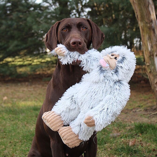 TALL TAILS トール テイルズ クランチ トイ イエティ