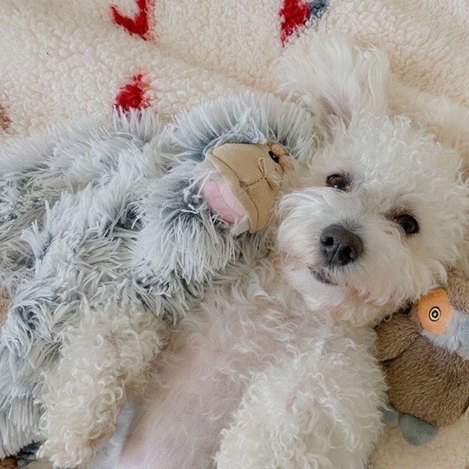 TALL TAILS トール テイルズ クランチ トイ イエティ