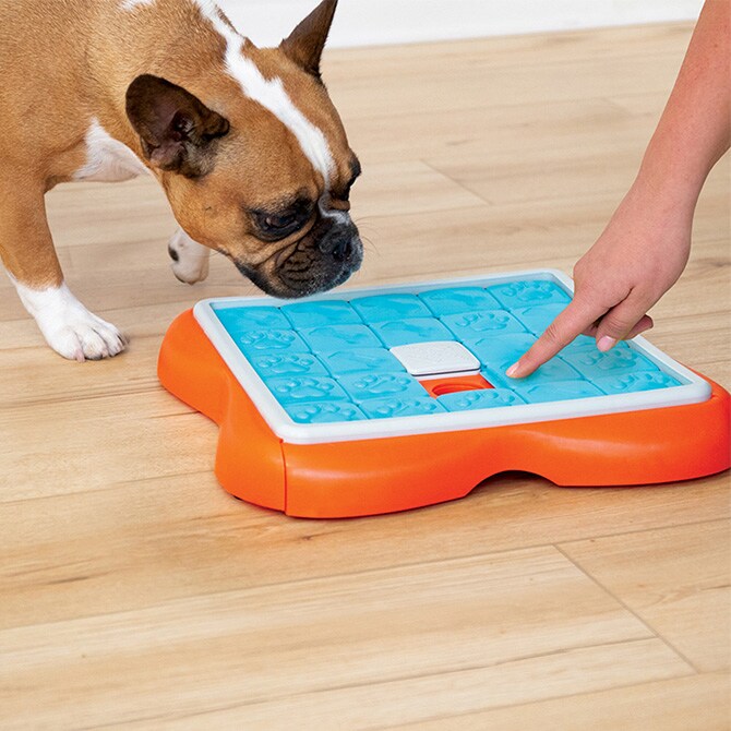 Nina ottosson ニーナ・オットソン チャレンジスライダー