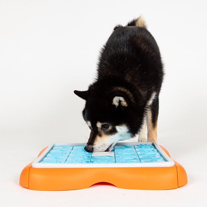 Nina ottosson ニーナ・オットソン チャレンジスライダー