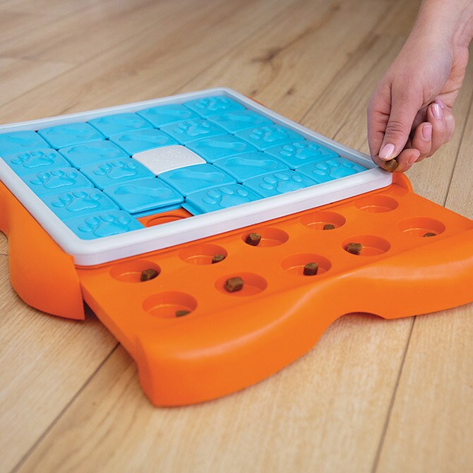 Nina ottosson ニーナ・オットソン チャレンジスライダー