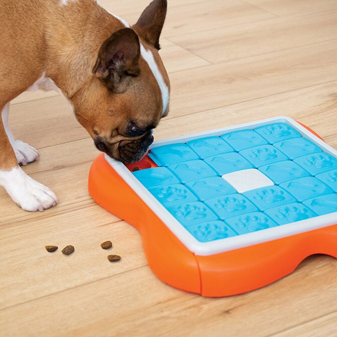 Nina ottosson ニーナ・オットソン チャレンジスライダー