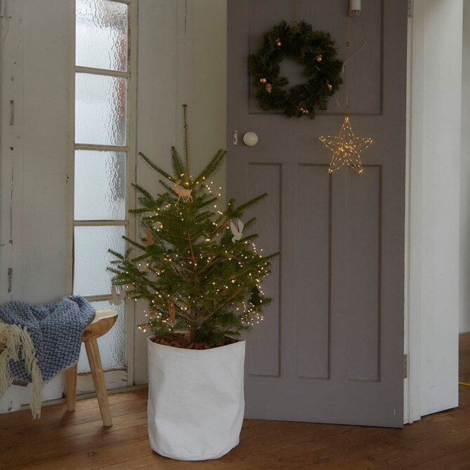 Horn Please ホーン プリーズ LED ライト フレームワーク ハンギング STAR 