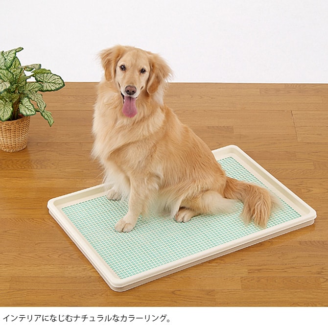 Bonbi ボンビアルコン しつけるトレー XL メッシュタイプ 