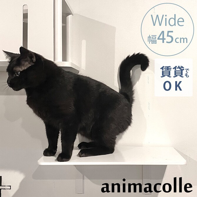 animacolle アニマコレ Catroad+ ワイドステップ 幅45cm 
