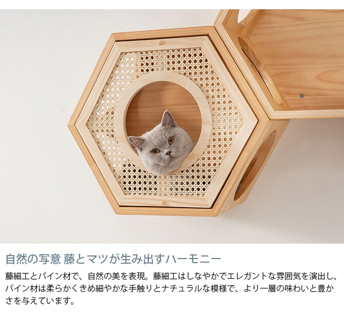 MYZOO マイズー Busy Cat専用 COVER RATTAN カバーラタン 猫 ハウス スツール 六角 ラタン 藤細工 おしゃれ 和 カバー プレート