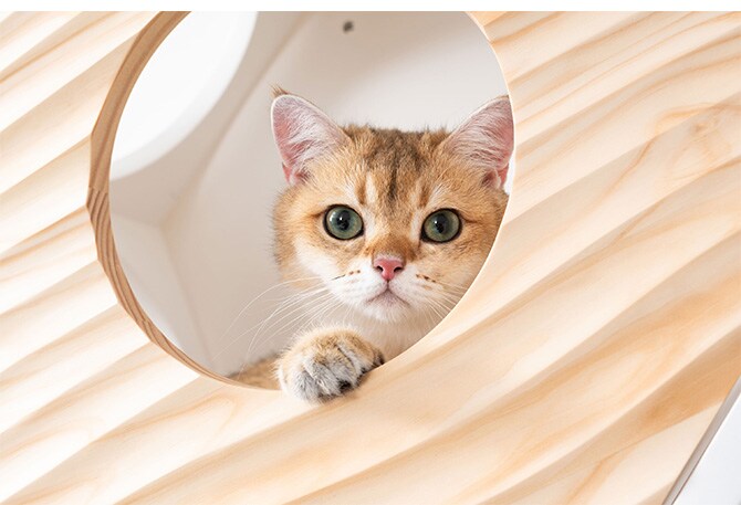 MYZOO マイズー Busy Cat専用 COVER WAVE カバーウェーブ 猫 ハウス スツール 六角 ウェーブ 波 おしゃれ 木製 カバー プレート