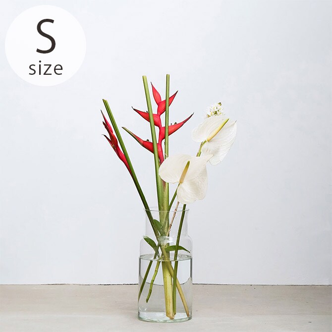 shesay シセイ 枝ものが活けやすい リューズガラス フラワーベース ネック S 