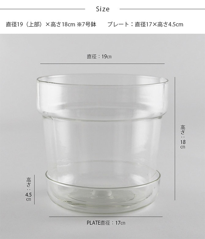 shesay シセイ リューズガラス プレート付き フラワーポット テーパー LL