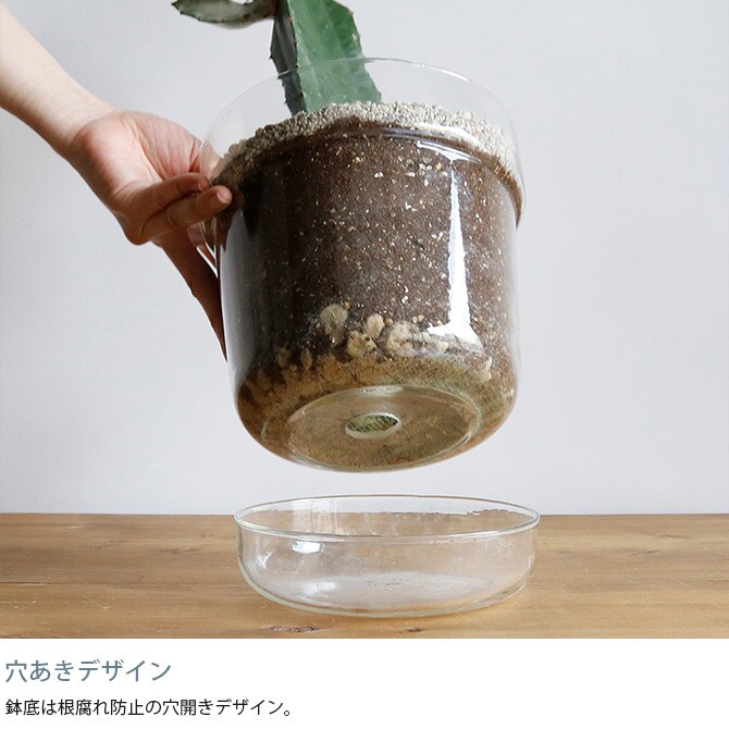 shesay シセイ リューズガラス プレート付き フラワーポット テーパー LL